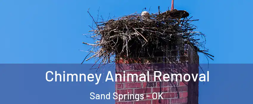  Chimney Animal Removal Sand Springs - OK