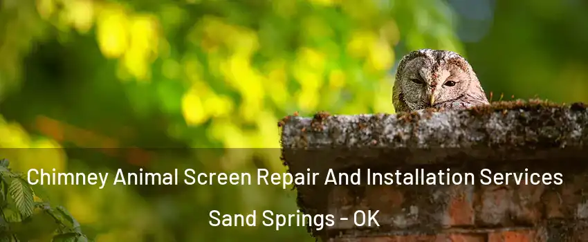  Chimney Animal Screen Repair And Installation Services Sand Springs - OK